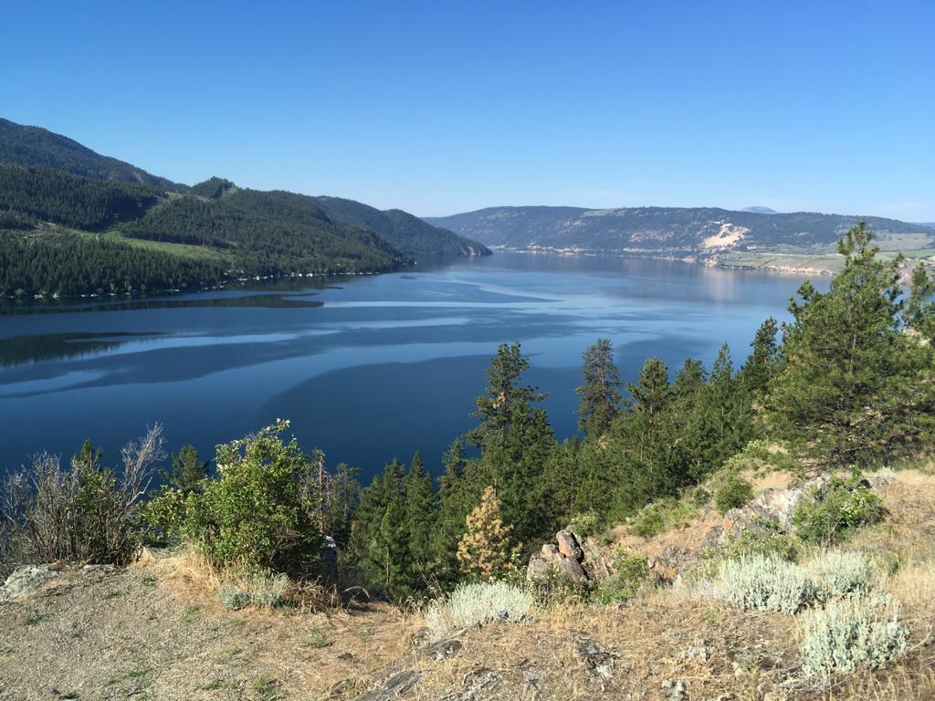 Wedding & Event Rentals